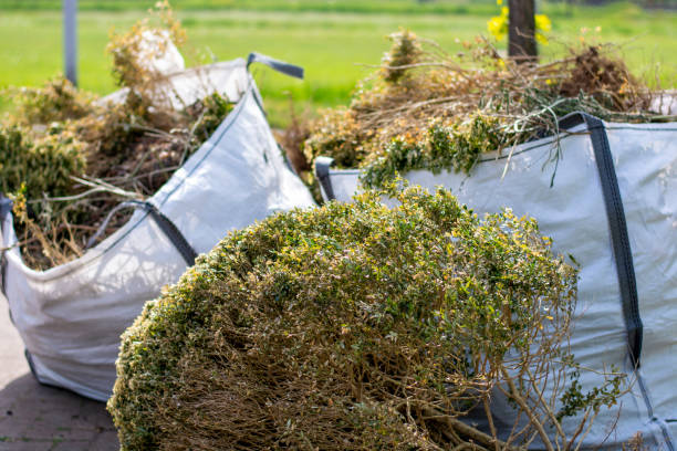 Best Construction Debris Removal  in Burke, VA