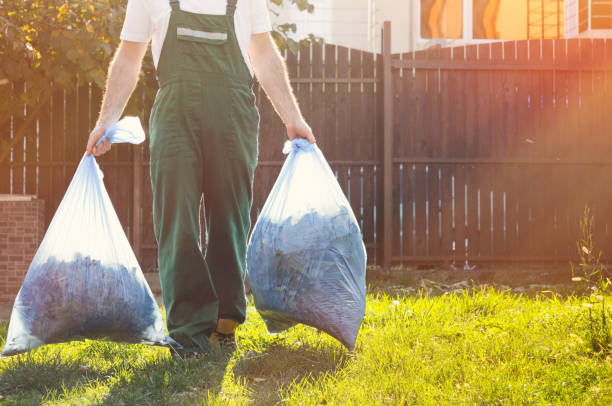 Best Junk Hauling Services  in Burke, VA